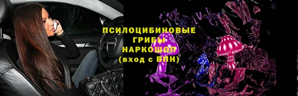 винт Гусев
