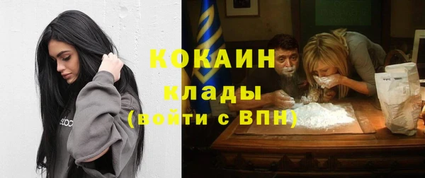 винт Гусев