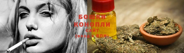винт Гусев