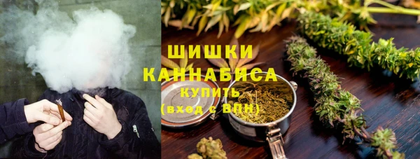 винт Гусев