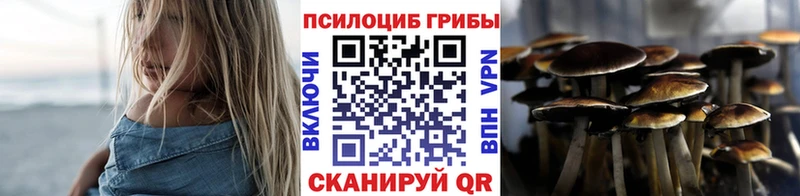 Псилоцибиновые грибы мицелий  Купить где  Советский 